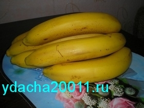 Бананы - полезные и целебные свойства
