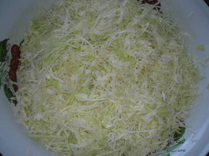 Как заквасить капусту - рецепт с фото