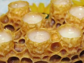 Маточное молочко пчел